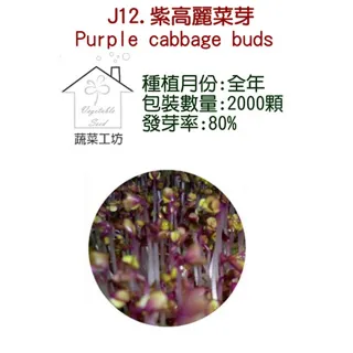 【蔬菜工坊】J12.紫高麗菜芽種子(芽菜種子)