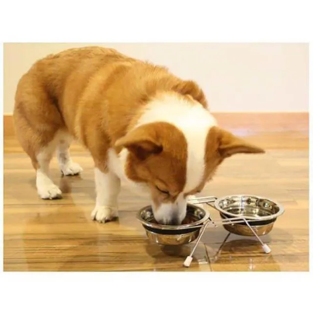【CattyMan】犬貓用高級不銹鋼餐碗架-M(寵物用品)