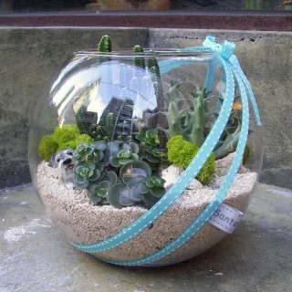 【Santa Ana】10吋玻璃球多肉植物盆栽組合(三種以上不同植栽)