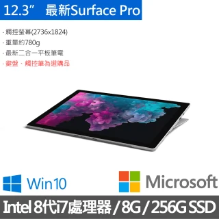 【Microsoft 微軟】Surface Pro 6 12.3吋筆電-白金(Core i7/8G/256G SSD/W10)