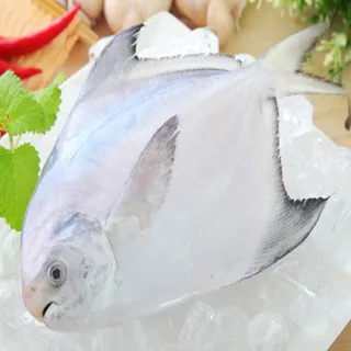 【海之醇】野生正白鯧魚-2隻組(350g/隻)