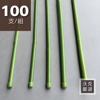 【沃克嚴選】園藝用綠竹 H75公分 100支