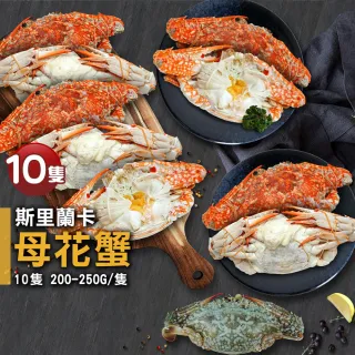 【優鮮配】斯里蘭卡生凍母花蟹10隻(200-250g/隻)