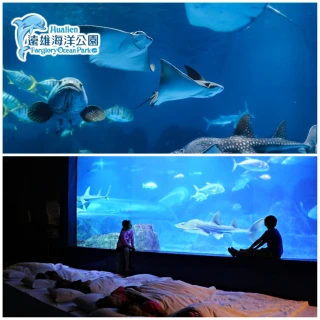 【花蓮遠雄海洋公園】2021海洋夜未眠★夜宿水族館-適用七歲以上(附當天晚餐+隔日早餐 限提前預約)