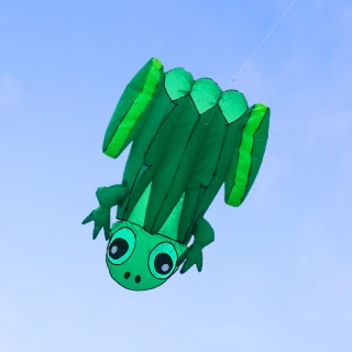 【888ezgo】大青蛙造型風箏（115*145）（軟式風箏）（全配/附150米輪盤線）