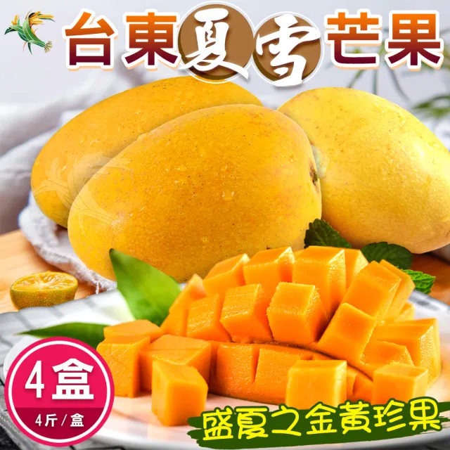 產地直送 盛夏之金黃珍果台東夏雪芒果5斤5 7顆 共4箱 Momo購物網