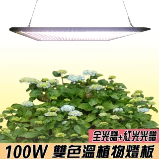 【JIUNPEY 君沛】燈板系列 100瓦 吊掛式 植物燈 雙色溫 植物成長專用燈(植物生長燈)