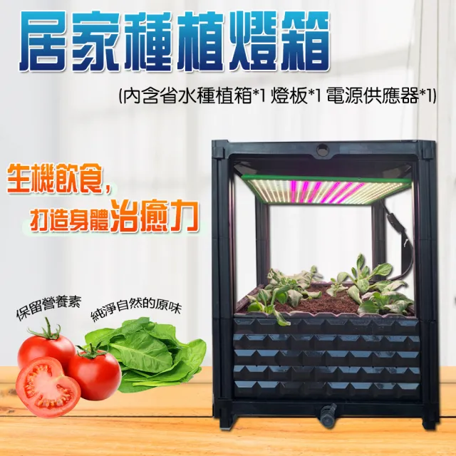 Jiunpey 君沛 雙色溫調光型全光譜有機蔬菜種植 育苗生長箱50瓦植物燈生長箱 Led生長栽培箱 Momo購物網
