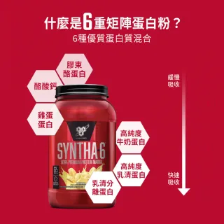 【BSN 畢斯恩】Syntha-6 頂級綜合乳清蛋白 5磅(奶油餅乾)