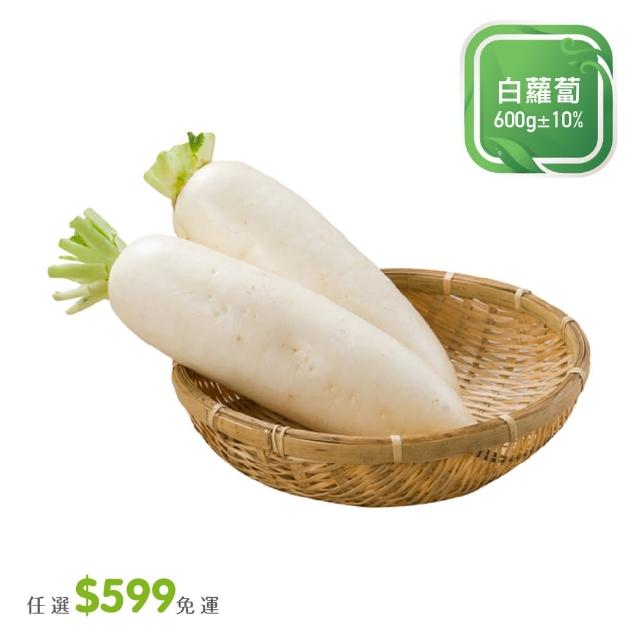 【菜霸子】任選-滿599元出貨(中國白蘿蔔600g / 入廠商直送)