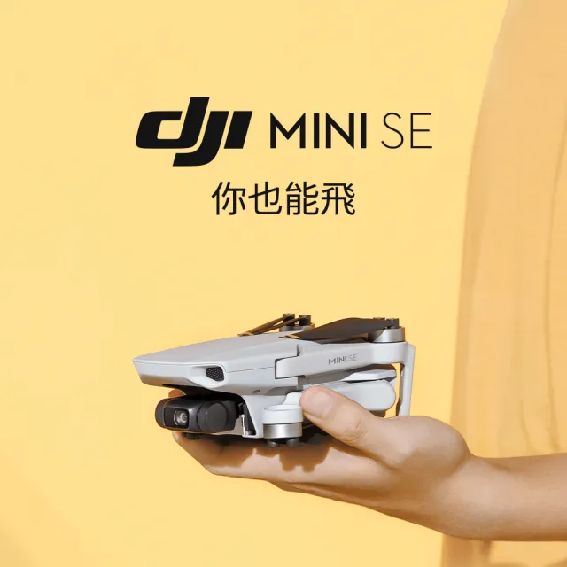 【DJI】Mini
