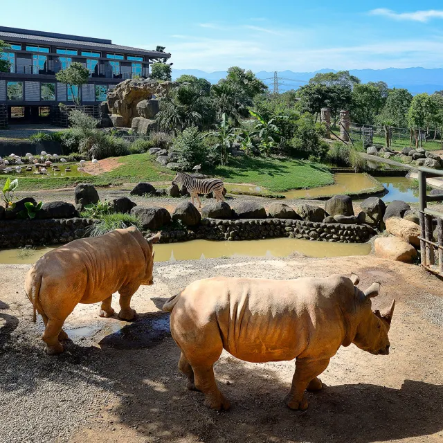 關西六福莊 3天2夜雙人一泊二含六福村二日門票 動物互動體驗 平日升等肯亞藍天樓中樓 可同天開2房 Momo購物網