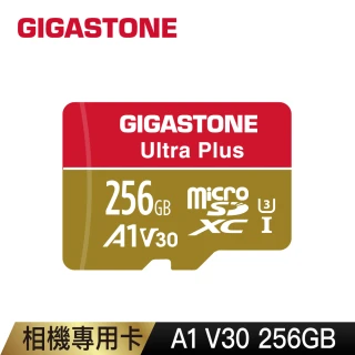 【Gigastone 立達國際】256GB micro SDXC UHS-Ⅰ U3 記憶卡(256G A1V30 高速記憶卡)