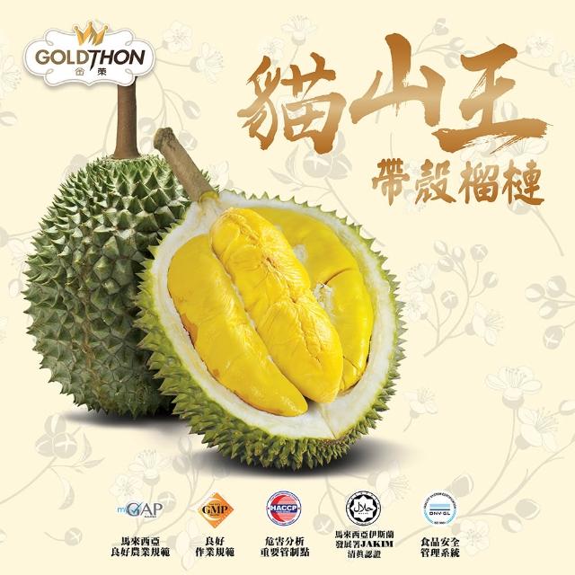 【Gold Thon】馬來西亞液態氮貓山王帶殼榴槤A果1.5~1.8KG*1顆(液態氮帶殼貓山王禮盒裝)