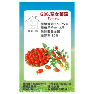 【蔬菜工坊】G86.聖女蕃茄種子(專業栽培聖女品種)