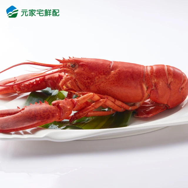 元家 品牌總覽 筆劃 水產海鮮 生鮮 Momo購物網