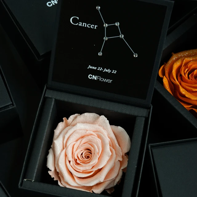 【CNFlower 西恩】星座恆星花-巨蟹 Peach Pink(送禮/買花/恆星花/花禮)