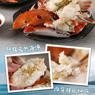【愛上海鮮】鮮凍野生中三點蟹3包(350g±10%/2隻/組)