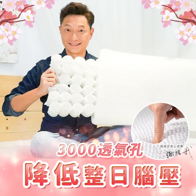 【寶媽咪】新一代日本熱銷超透氣彈性獨立筒水洗枕(2顆超值組)/