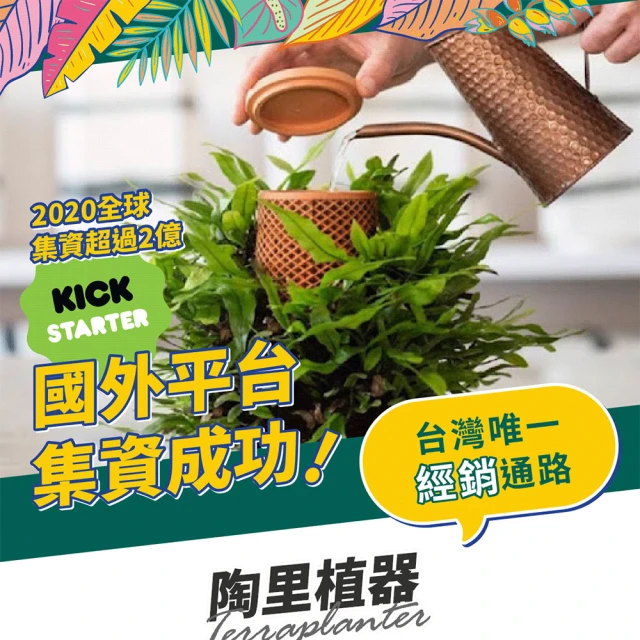 雙11限定【陶里植器】盆栽/室內植物(可重複使用)