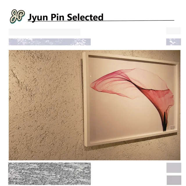 Jyun Pin 駿品裝修 駿品嚴選珪藻土健康塗料連工帶料 每坪 Momo購物網