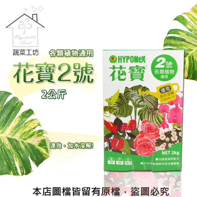蔬菜工坊002 B04 花寶2號2公斤 Momo購物網