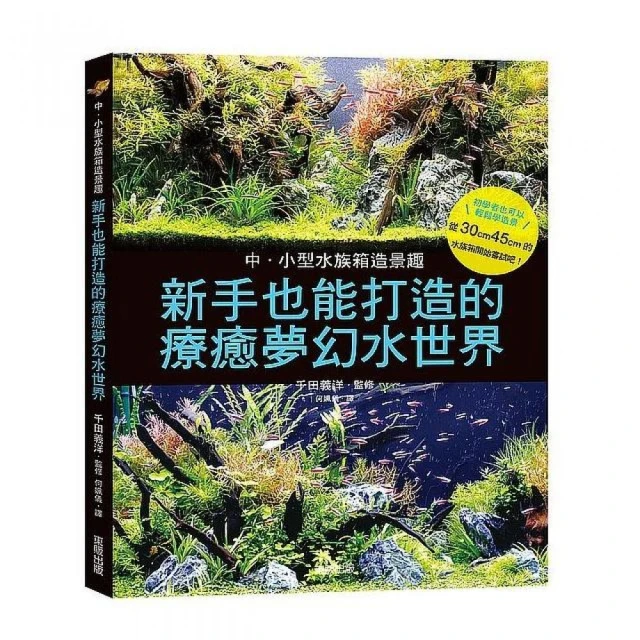 中小型水族箱造景趣：新手也能打造的療癒夢幻水世界