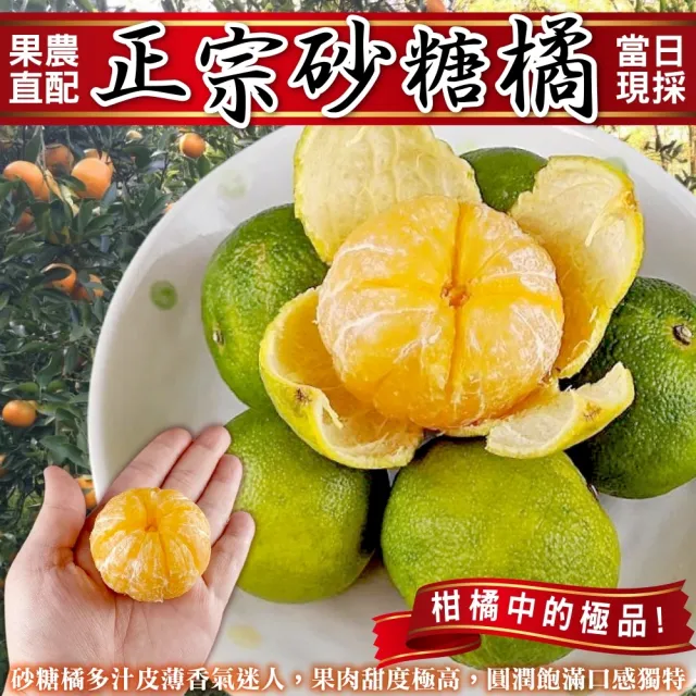 【果農直配】老欉迷你珍珠砂糖橘(5斤/箱)