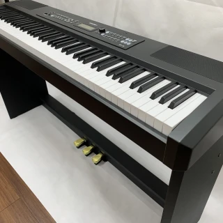 亞斯頓鍵盤樂器(FP30 P125 PX-S1000)