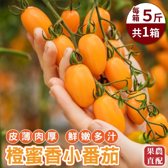 【果農直配】台灣嚴選橙蜜香番茄(5斤/箱)