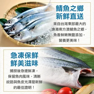 【愛上海鮮】南方澳鮮撈無鹽鯖魚 30片組(2片裝/110-120g/片)