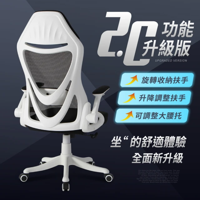 人體工學電腦椅