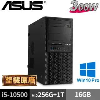 【ASUS 華碩】繪圖先鋒(i5-10500/16G/M.2-256GB+1TB/W10P)