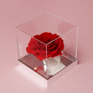 【花意空間】水晶盒玫瑰恆星花 -紅色(永生花 生日 情人 花禮)