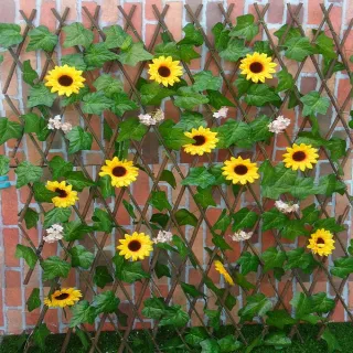 【園藝世界】籬笆-4尺向日葵圍籬