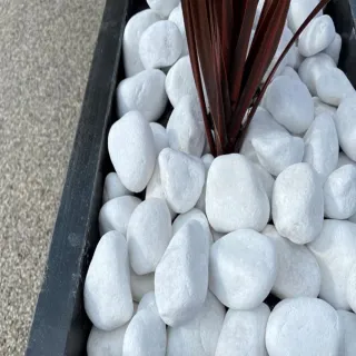【園藝世界】白色鵝卵石-20公斤裝(陽台造景鵝卵石)