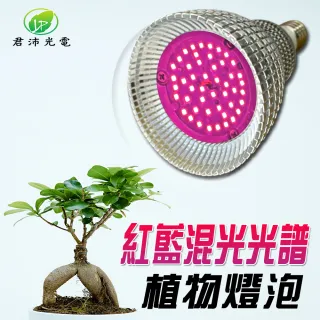 【JIUNPEY 君沛】植物燈 15瓦 紅藍混光燈泡 E27植物燈泡(多肉植物燈 觀葉植物燈 塊根植物燈)