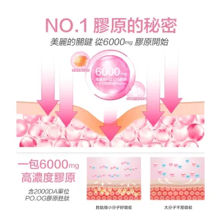 【Angel LaLa 天使娜拉】EX膠原蛋白粉 日本專利蛋白聚醣(牛奶風味/15包/盒x7盒)