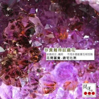 【開運方程式】巴西鈦晶共生紫水晶洞JU192(紫晶洞14.8kg)
