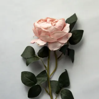 【花意空間】赤白橡庭園玫瑰仿真花 3支一組(永生花 人造花 假花)