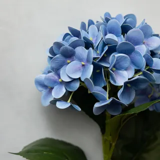 【花意空間】珊瑚藍紫繡球仿真花長支 3支一組(永生花 人造花 假花)
