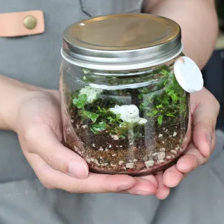 【植物生態瓶】矮玻璃DIY材料包+教學影片