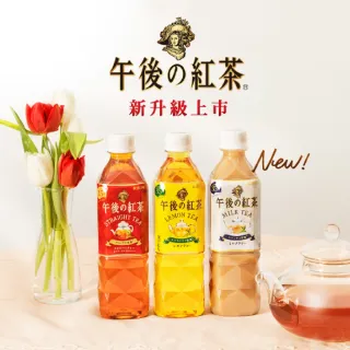 【KIRIN 麒麟】午後紅茶-無糖紅茶500mlx24入/箱_週期購