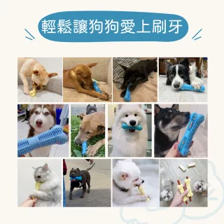 Ppark 寵物工園 二用項圈 Xl 大型犬 Momo購物網