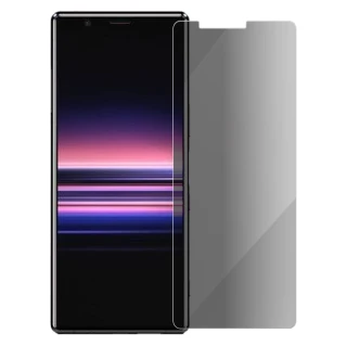 【Metal-Slim】Sony Xperia 5(9H鋼化玻璃保護貼)