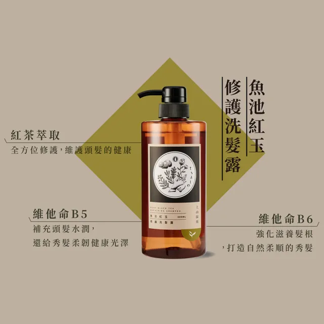 【tsaio上山採藥】茶系列 洗髮露600ml(金萱茶/紅玉/東方美人/文山包種)