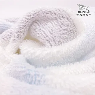 【OKPOLO】台灣製造奈米竹炭吸水毛巾-2入組(吸水厚實柔順)