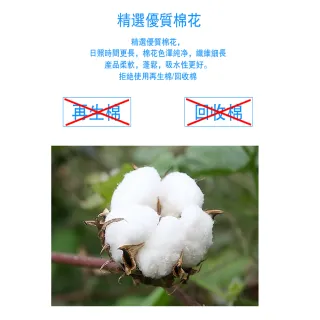 【OKPOLO】台灣製超激吸水純棉格紋雙緞毛巾(買六送六)