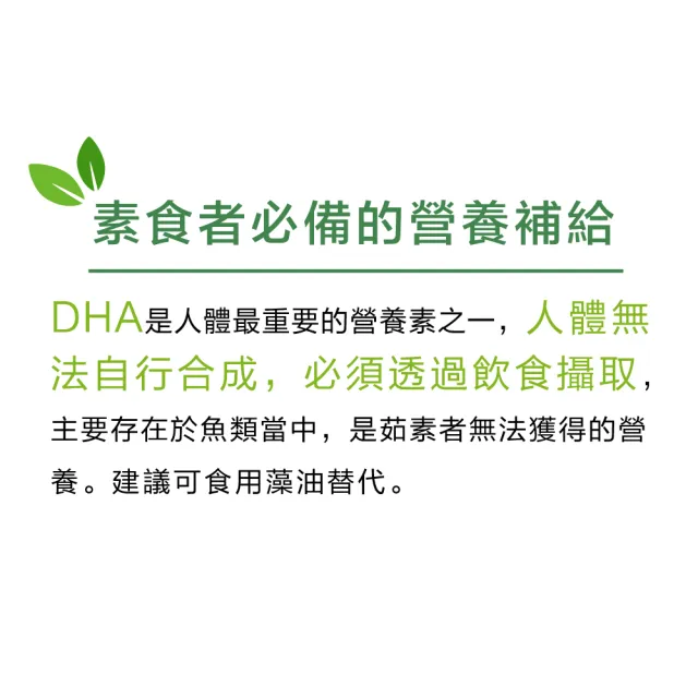 【Lovita愛維他】植物性DHA藻油200mg素食膠囊 2入組(共120顆)