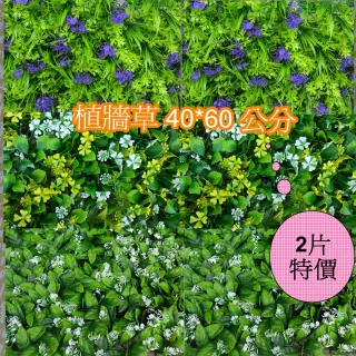 【園藝世界】人造草皮-植牆草40*60 公分*2 片